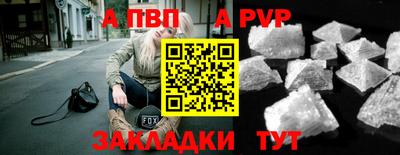 индика Дубна