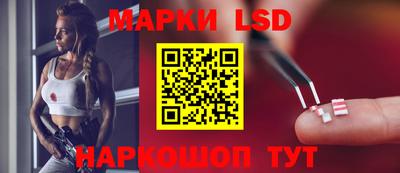СК Заводоуковск