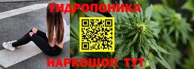 индика Дубна