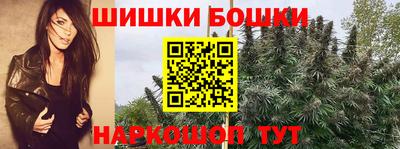 индика Дубна