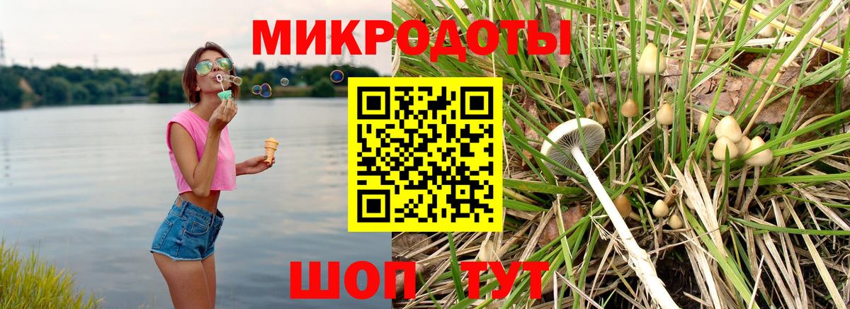 Галлюциногенные грибы мухоморы Муром